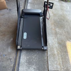 Dog Treadmill 