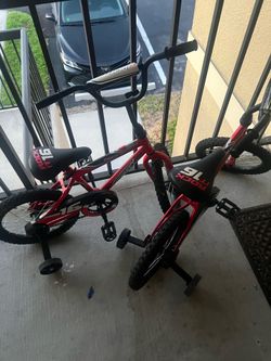 Twin bikes