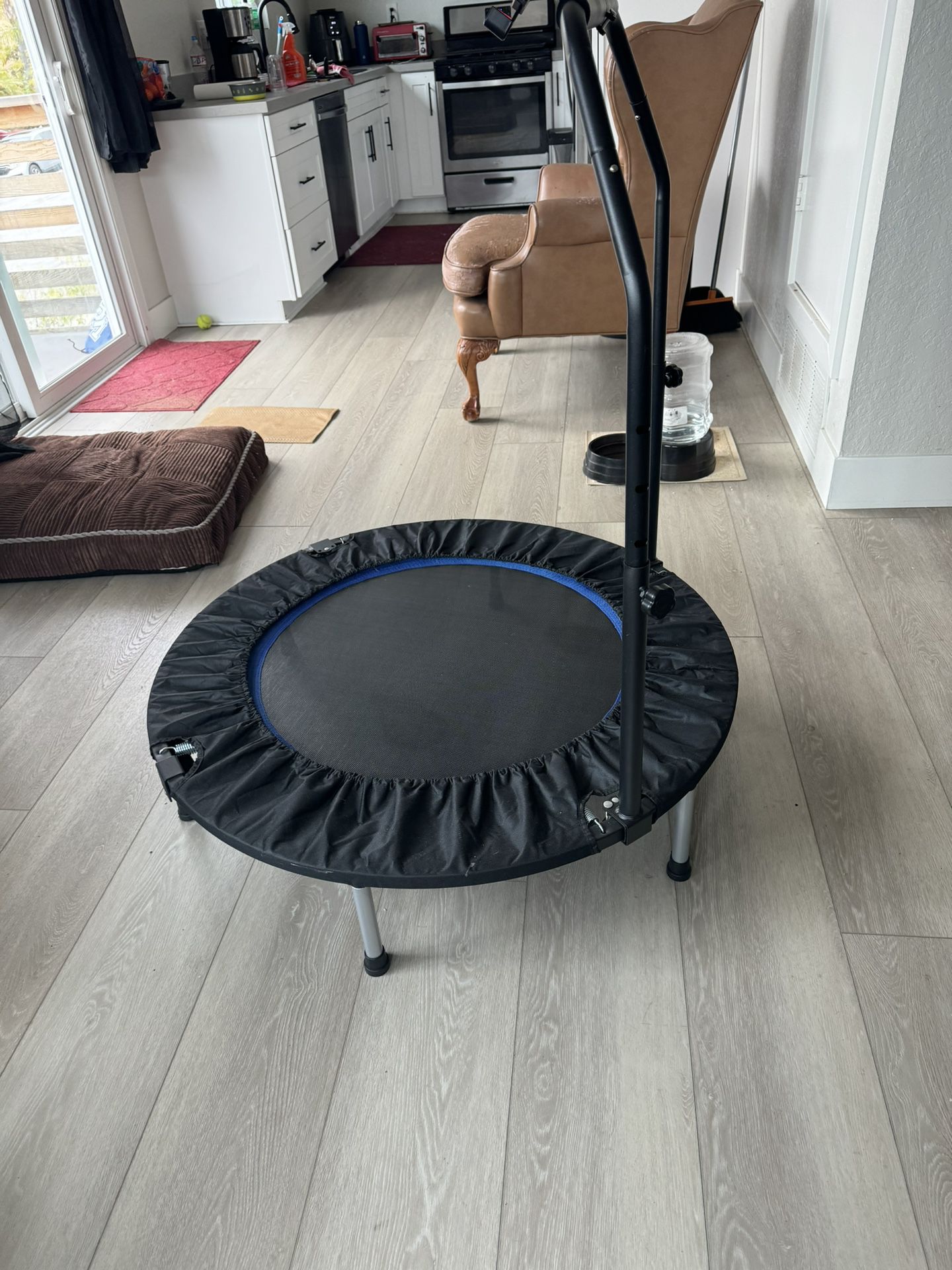Work Out Mini  Trampoline