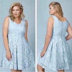 Women’s Light Blue Lace Fit And Flare Dress