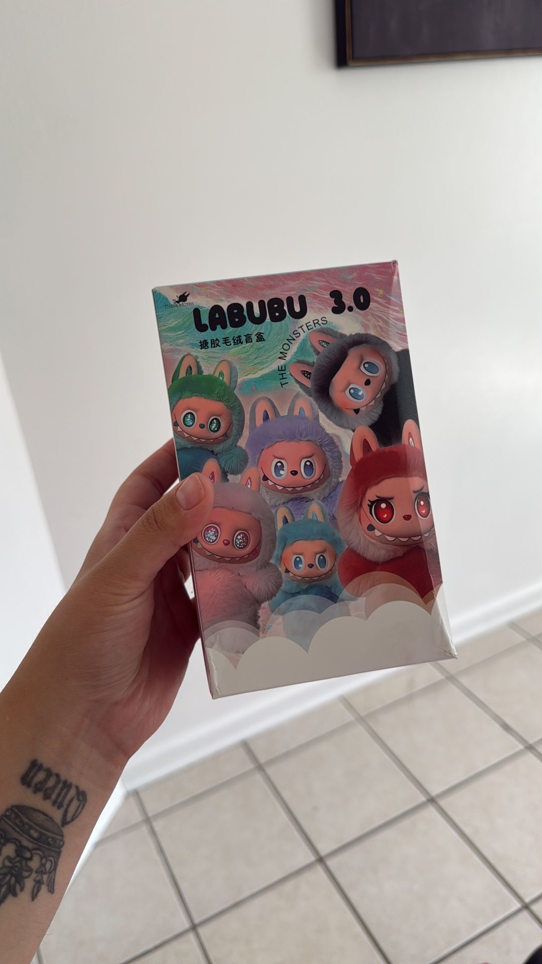Labubu Mystery Box