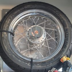 Harley Davidson RIm 