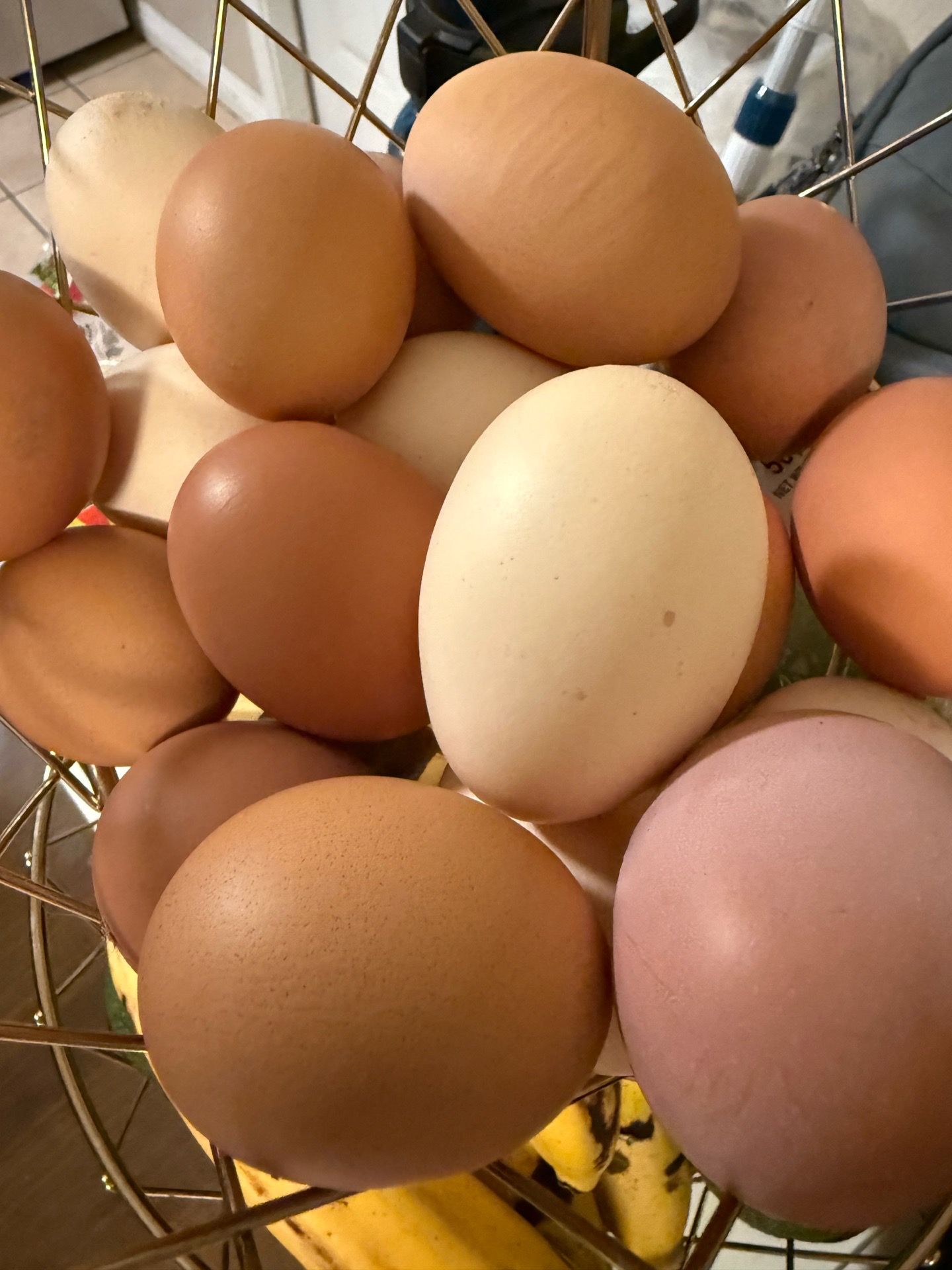 Eggs