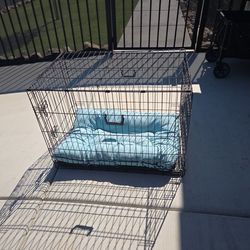 Dog Crate