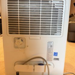 Homelabs 3000sqft Dehumidifier 