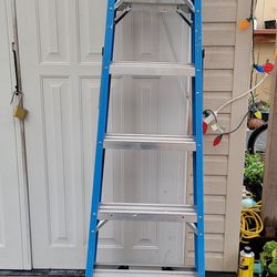 Werner 6 ft. fiberglass step ladder