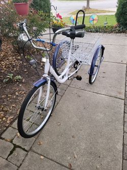 Adult 3 wheel, 7 speed bicycle