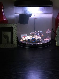 5 gallon fishtank including Decor