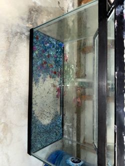 Fish tank 30 gallons