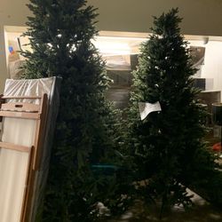 7.5-9ft Display Trees Read Entire Post