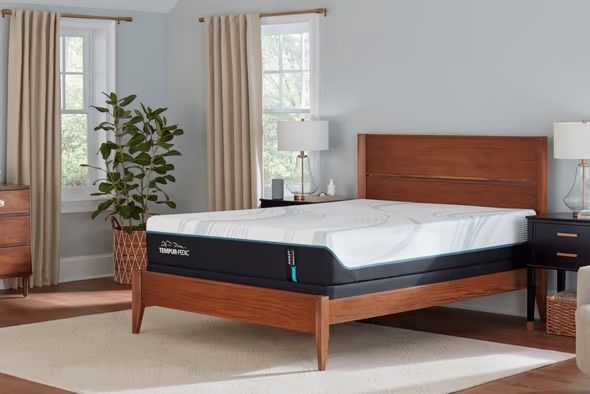 Temperpedic Mattress + Protector- King Size - Temper adapt collection