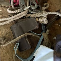 Tree Climbing Spikes And Safety Belt