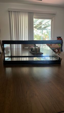 Starter Reptile Habitat