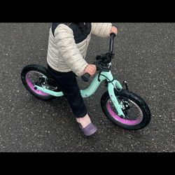 Toddler Guardian Balance Bike 