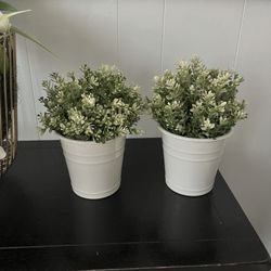 Two Fake Potted Plants / Flowers 