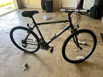 Adult bike