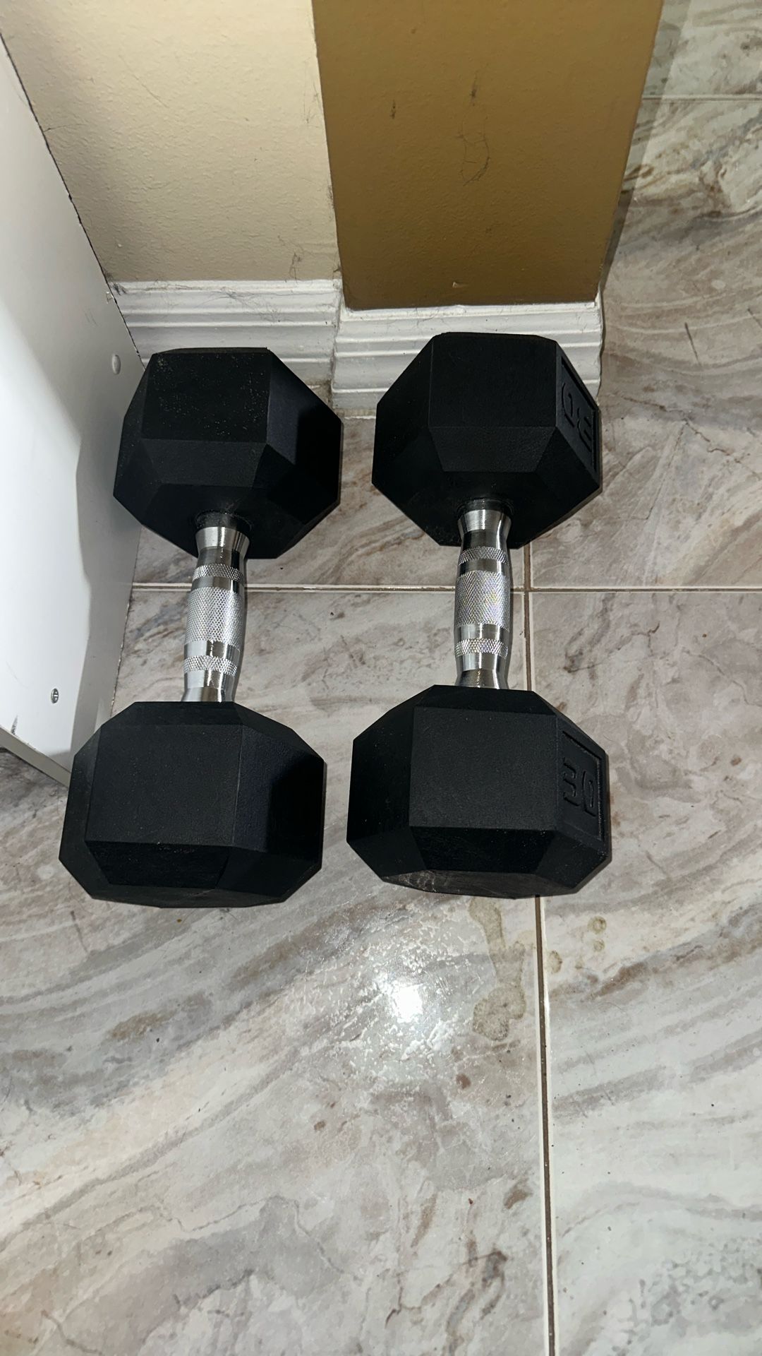 30lb Dumbbells 