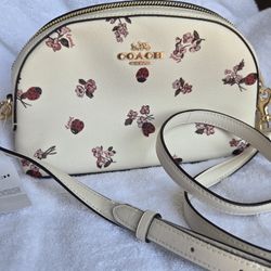 New COACH Purse  Ladybug Print 