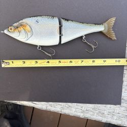 Custom Glide Bait