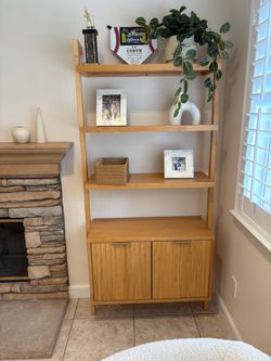Two Shelves! Amazing condition