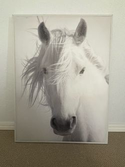 White Horse Silhouette Canvas Wall Art