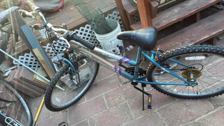 Roadmaster MT Sport mountain bike.