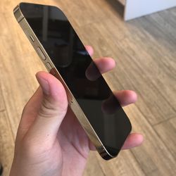 iPhone 13 Pro Unlocked ( Another Big Steal ) 