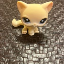 KITTEN CAT #1005 - Authentic Littlest Pet Shop - Hasbro LPS