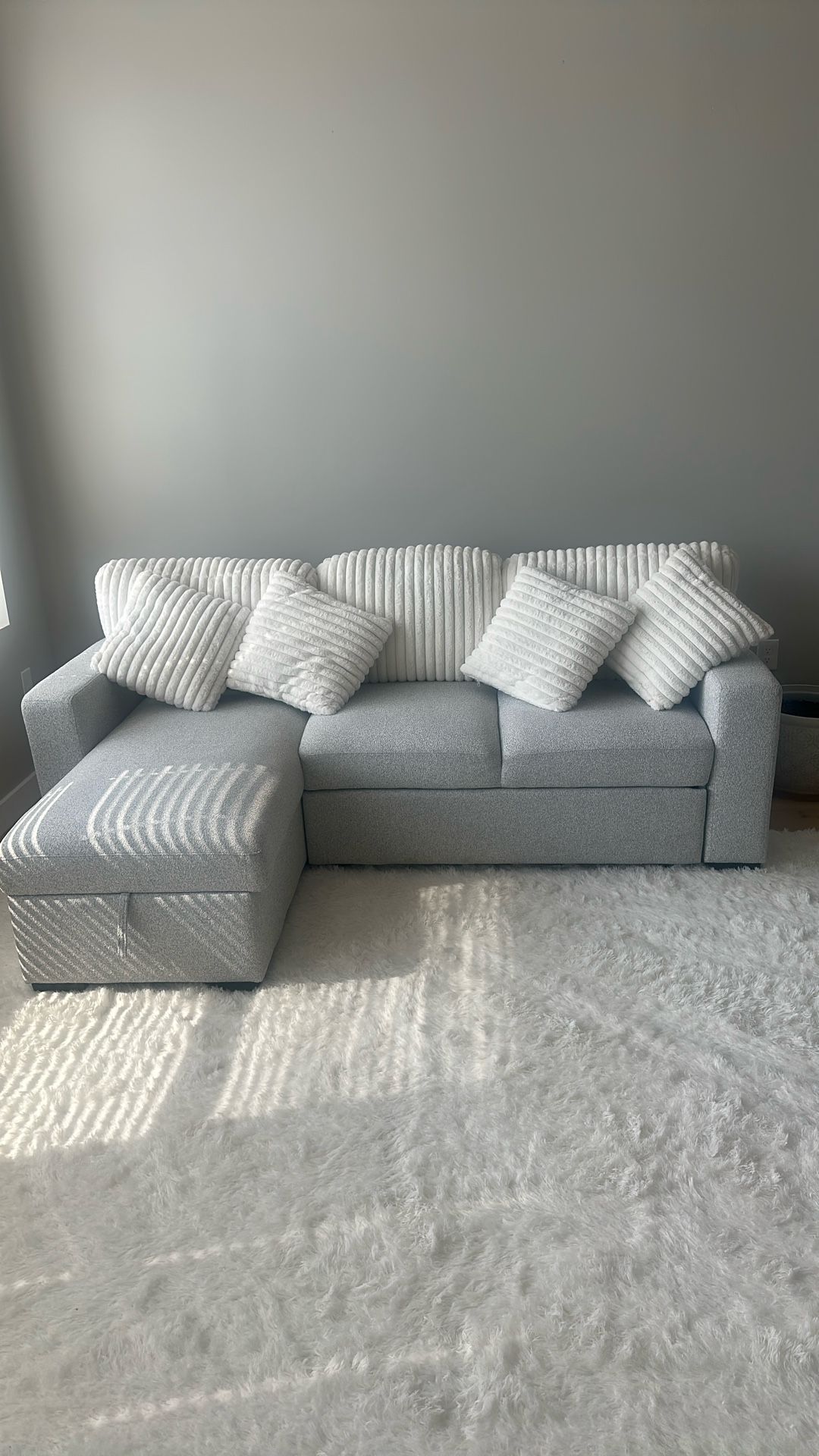 Sectional Couch