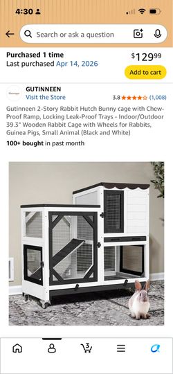 Bunny home