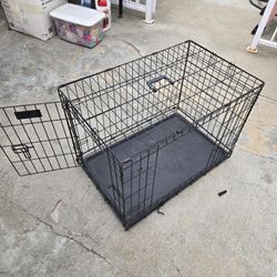 Kennel