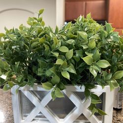 Artificial Plants $15 each or 2 for $25 (Sugar Land)