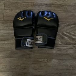 Everlast MMA Gloves