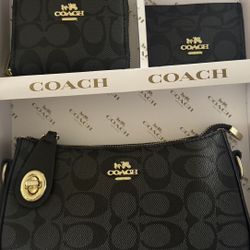 Coach Bags 