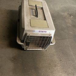 Medium Size Pet Taxi