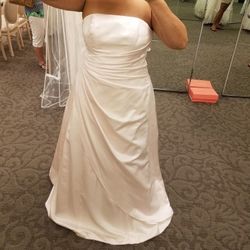 David and bridal wedding dress