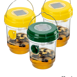 Wasp traps