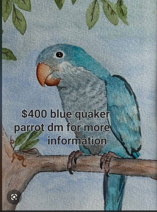 Message Me For More Inf