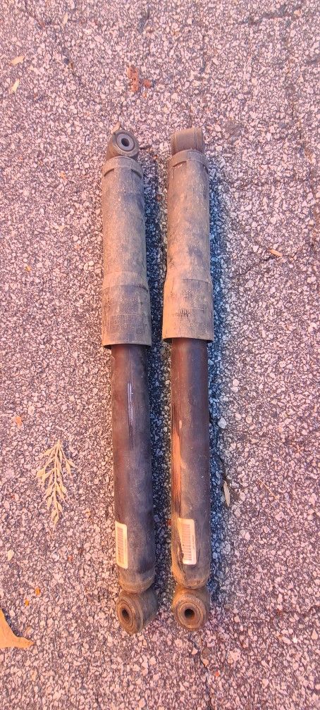 Pair Of Rear Shock Absorber Original