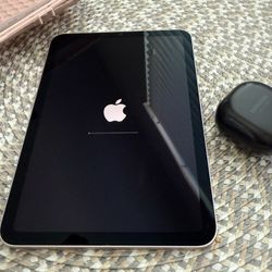 iPad Mini 6 Pink