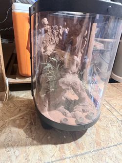Reptile cage