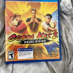 Cobra Kai 2 Dojos Rising