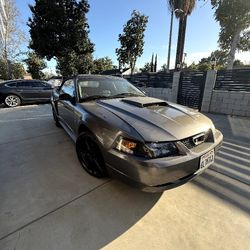 2003 Ford Mustang