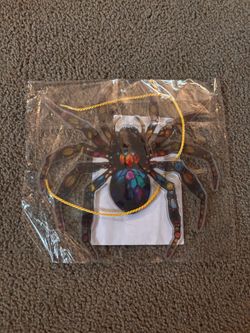 Stained Acrylic Spider Suncatcher