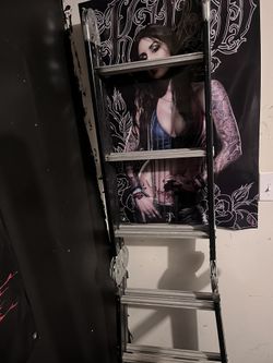 heavy duty metal ladder