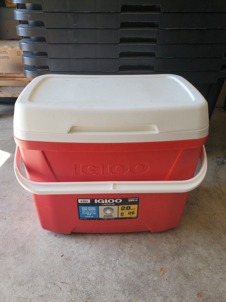 Igloo Cooler