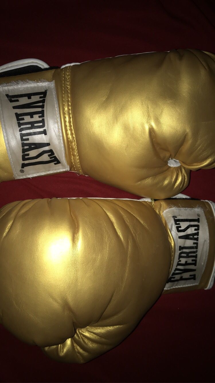 EVERLAST boxing gloves
