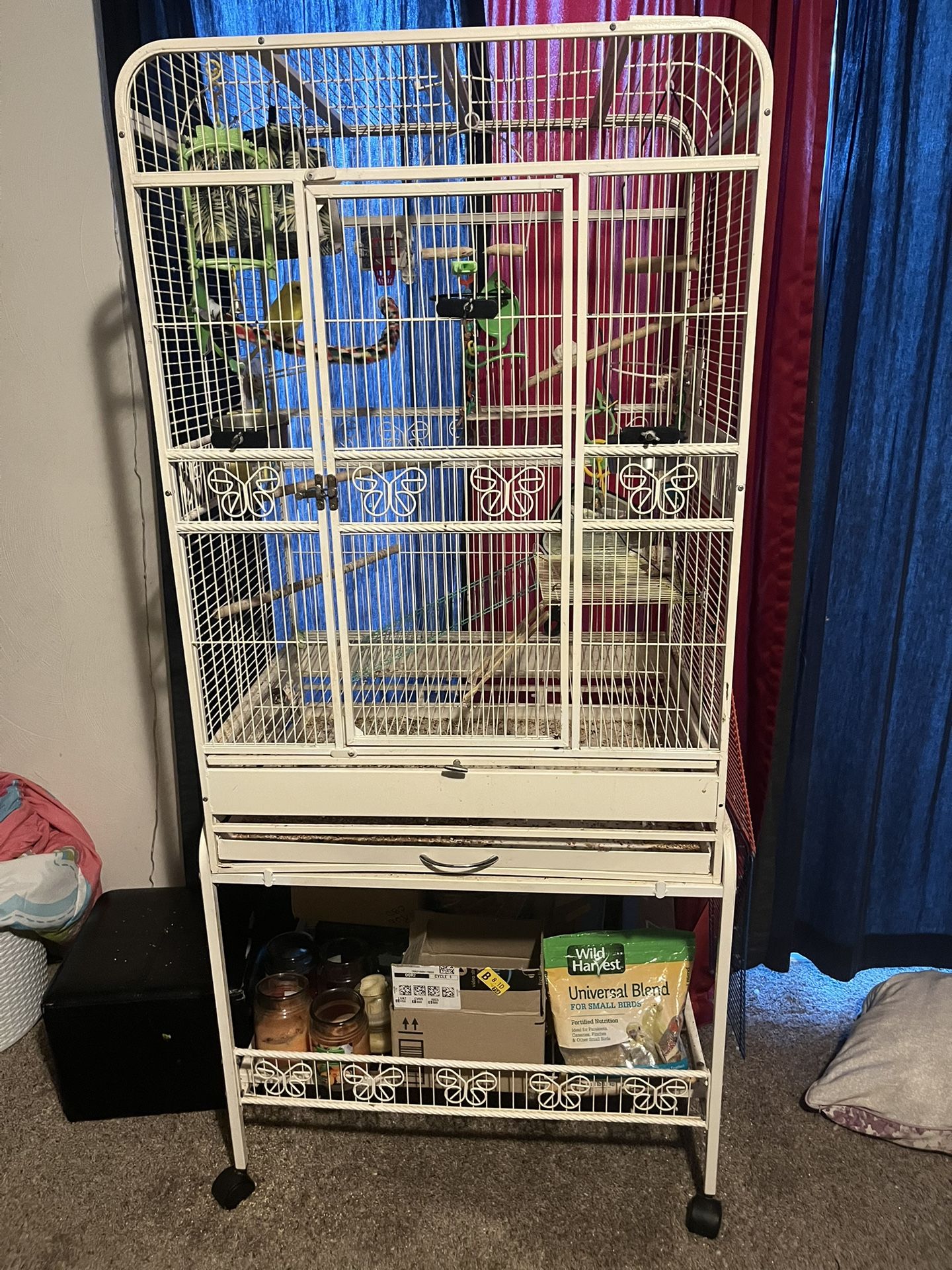 Bird Cage And Extras!