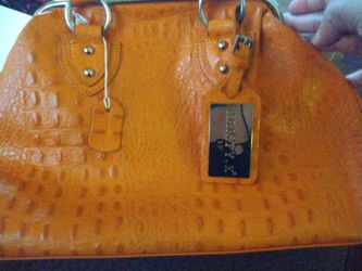 Brand new purse Kristy
