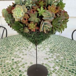 Wire Form Heart With Succulent Plants 